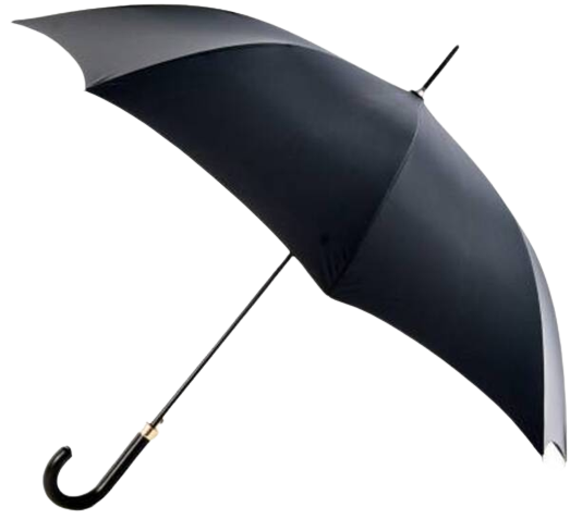 1631517788 23 stylish black large size u shape handle umbrella for men and original imaf6wcefeuvqzwk  1  removebg preview